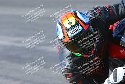 media/Feb-03-2024-SoCal Trackdays (Sat) [[767c60a41c]]/12-Turn 3 Inside (220pm)/
